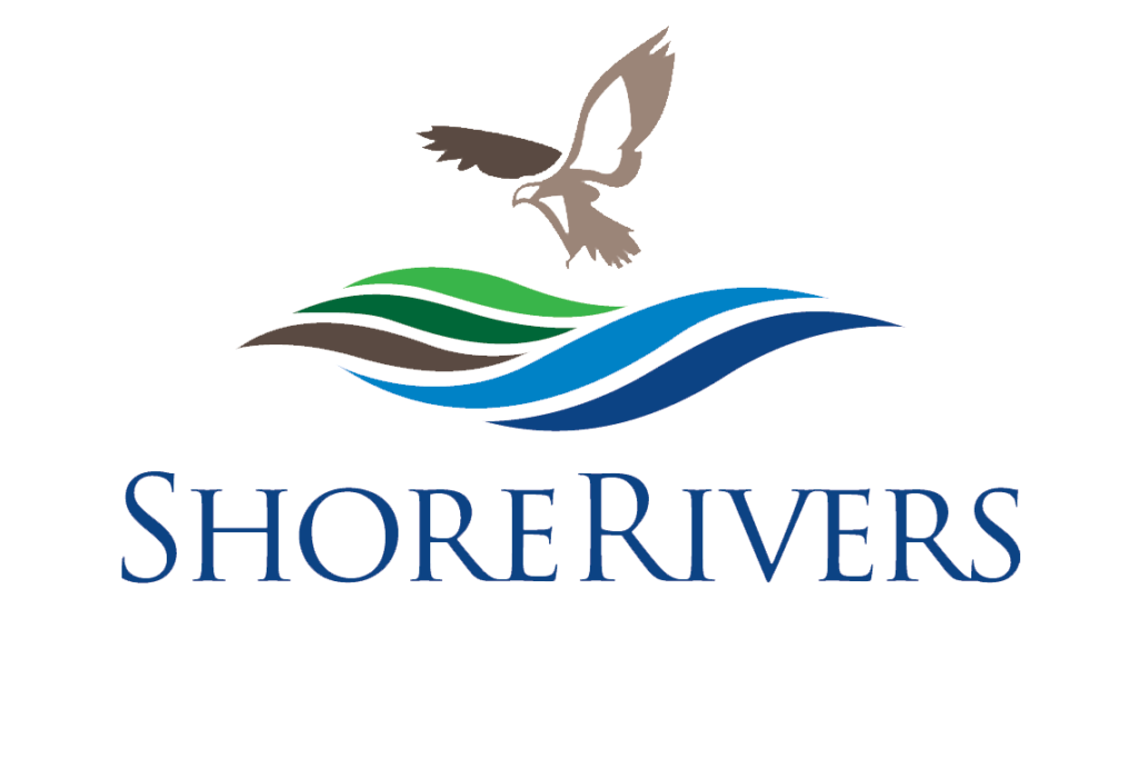 ShoreRivers logo