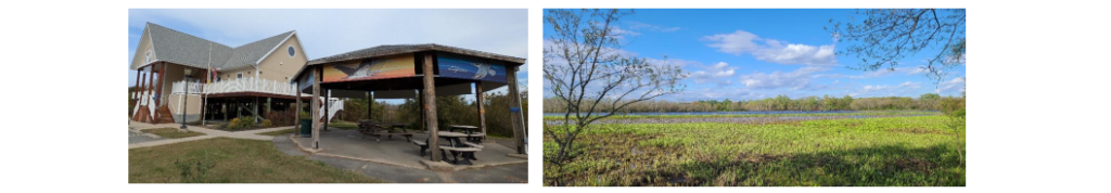 FOOTER photos. 2. for website