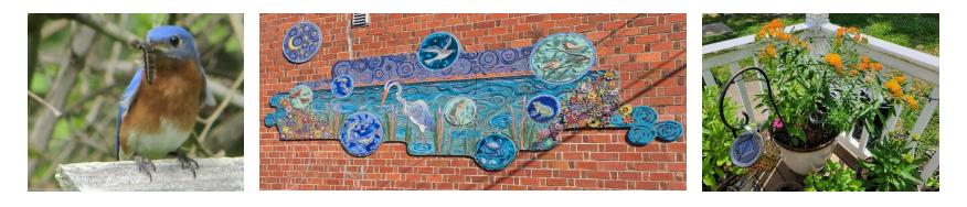 Photos courtesy of Concetta Gibson and Danny Poet.